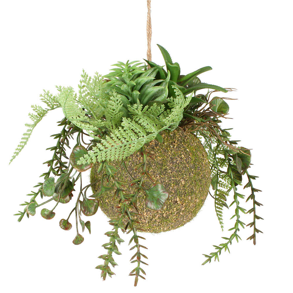 Mieszane wiszenie Moana Kokedama