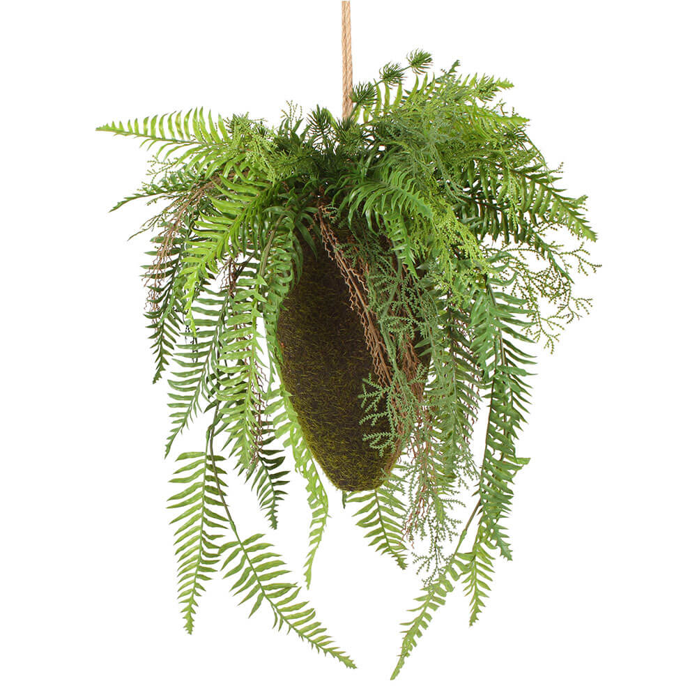 Moana Kokedama blandat hängande