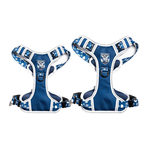 NRL Canterbury Bulldogs Pet Harness