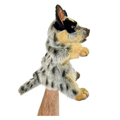 Heeler Puppy Puppet (Blue)