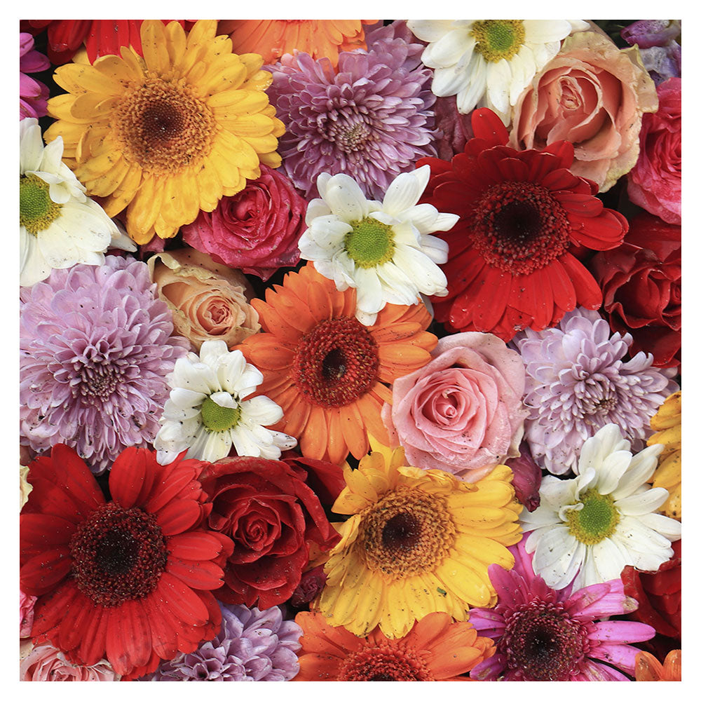 Papier + Design Gerbera Luncheon Napkins