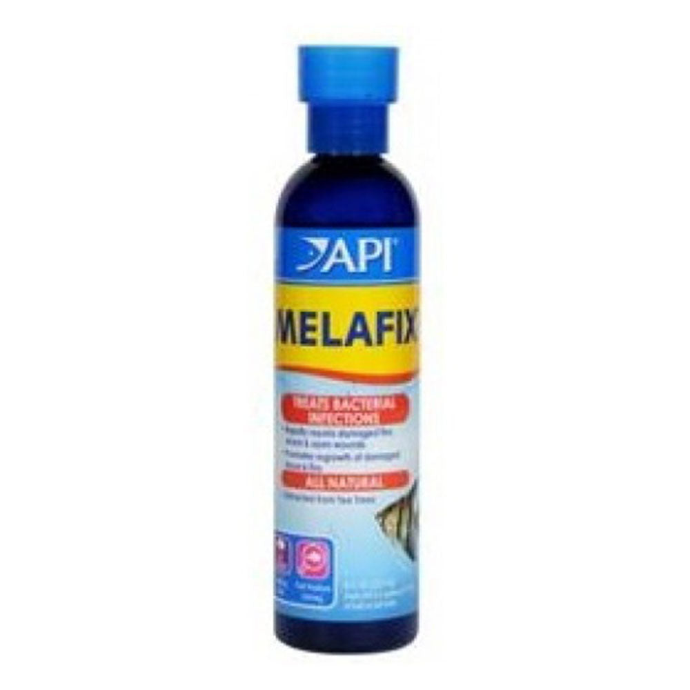 Tratamento antibacteriano da API Melafix