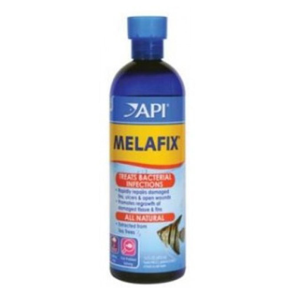 Tratamento antibacteriano da API Melafix