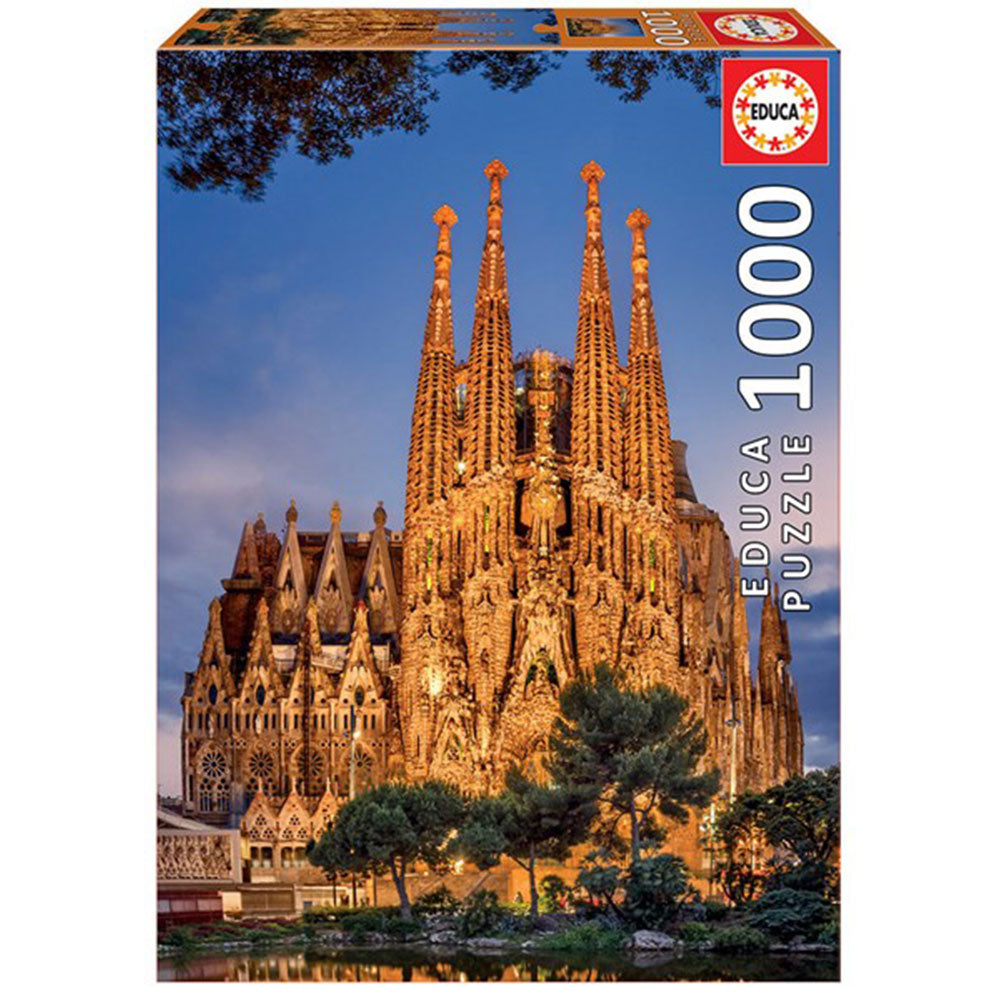 Collezione di puzzle educale 1000pcs