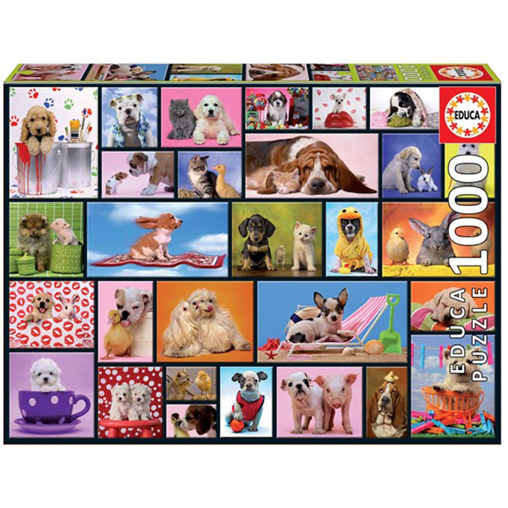 Collezione di puzzle educale 1000pcs