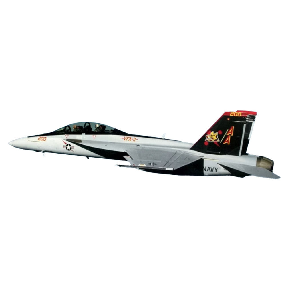 Hasegawa Super Hornet 1/72 SKALE Airplane Model