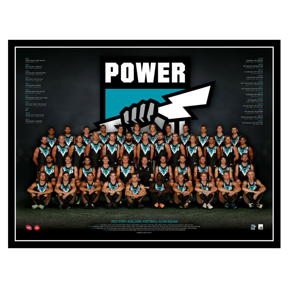 Póster del equipo AFL 2017