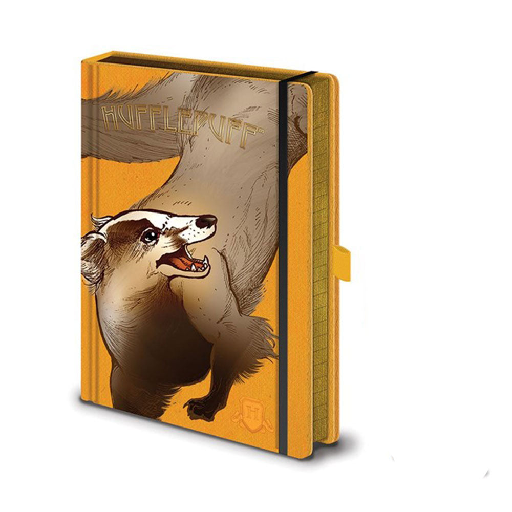 Harry Potter ingewikkelde huizen a5 premium notebook