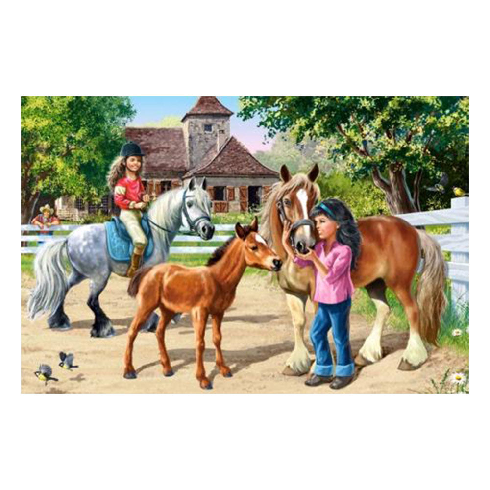 Castorland Classic Puzzle 70pcs