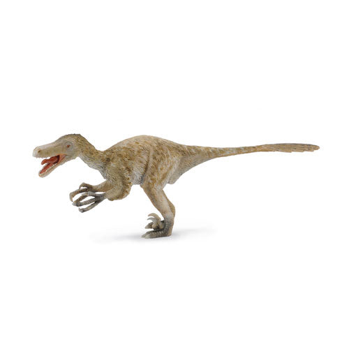 CollectA Velociraptor Dinosaur Figure