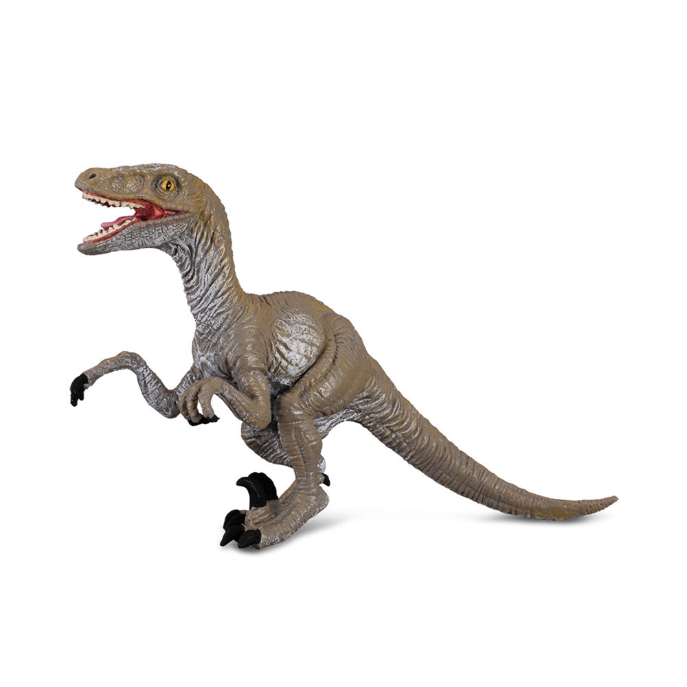 Collecta Velociraptor Dinosaur Figur