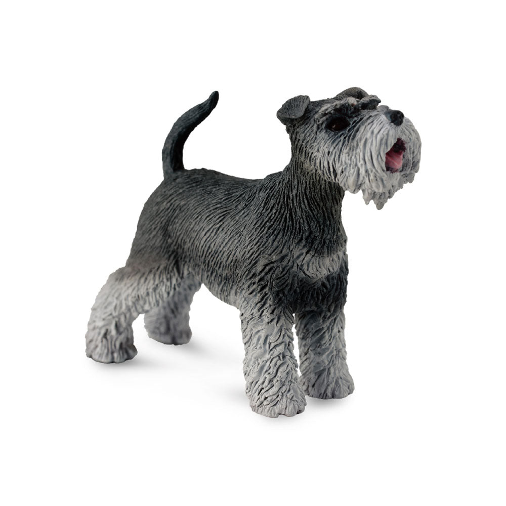 CollectA Schnauzer Figure (Medium)