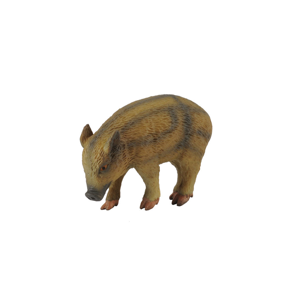 Collecta Wild Piglet Figur (lille)