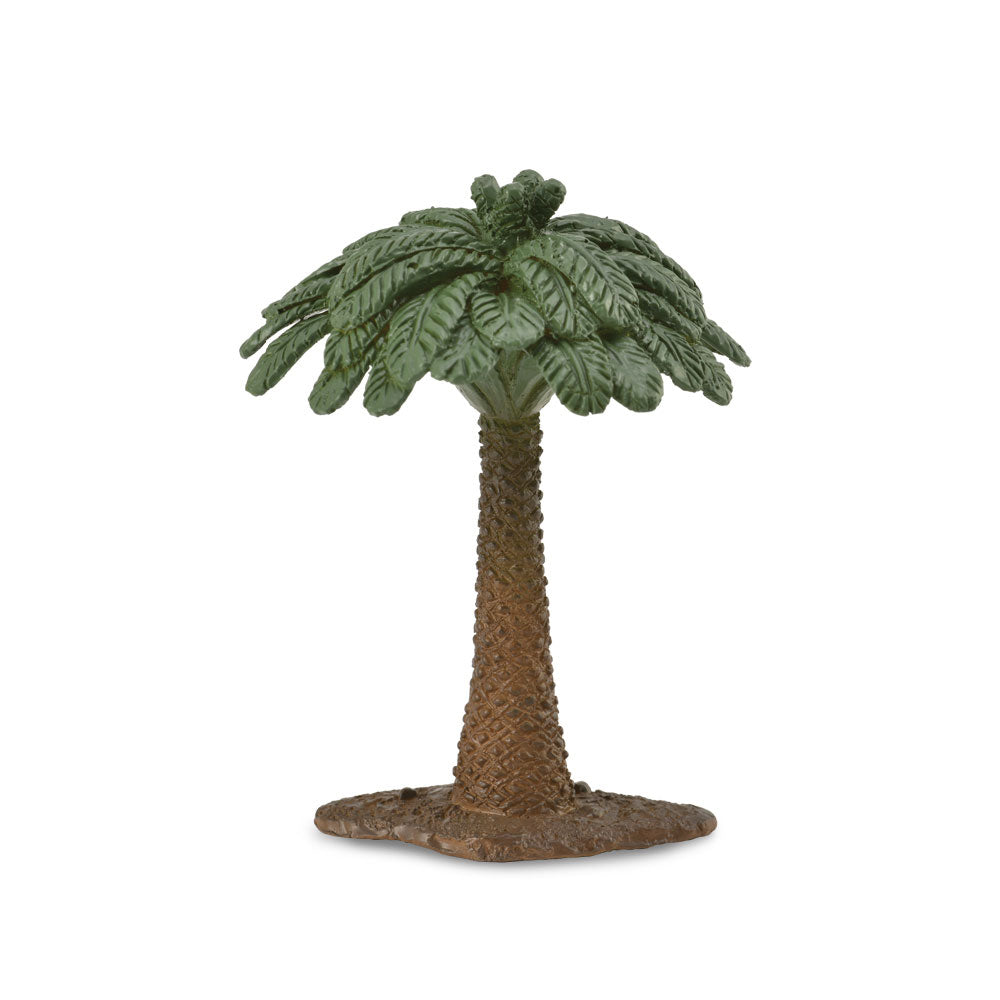 COLCA CYCAD TREE FIGUR