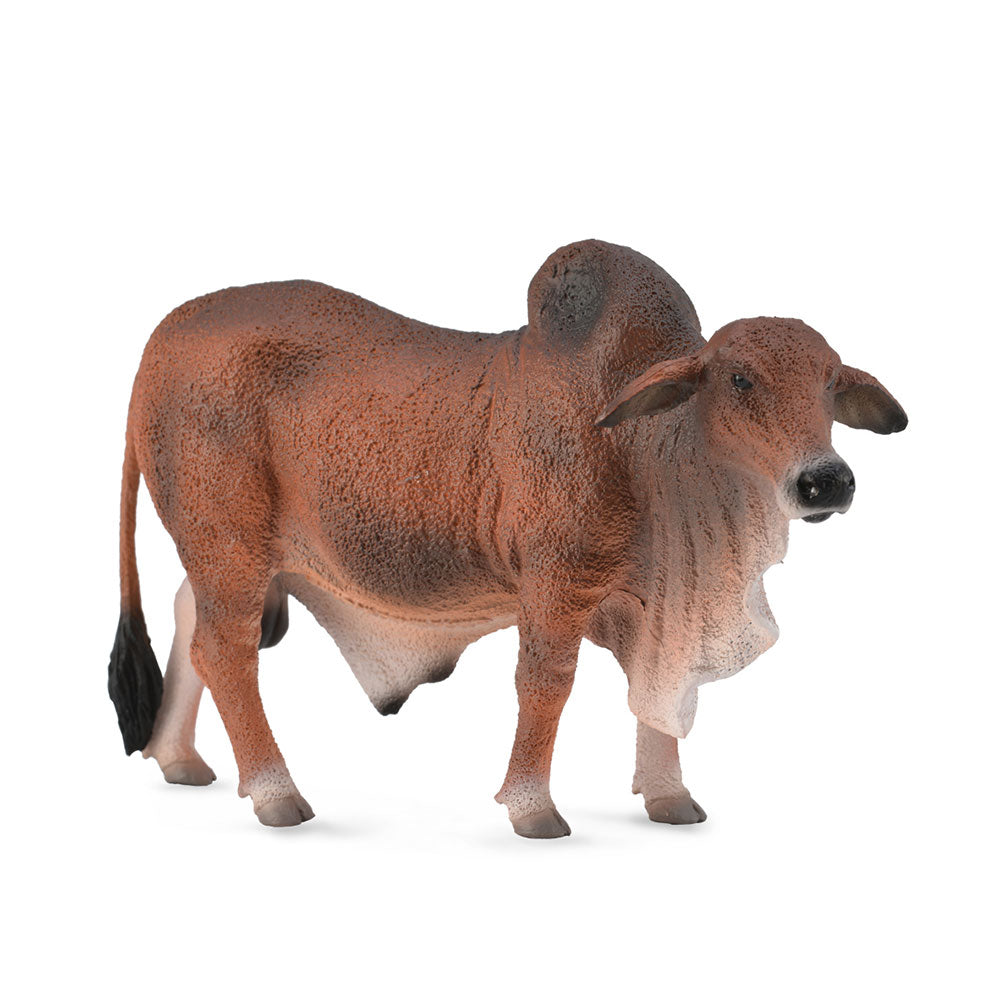 Collecta Brahman Bull -figur (stor)