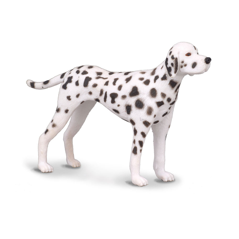 CollectA Dalmatian Figure (Medium)