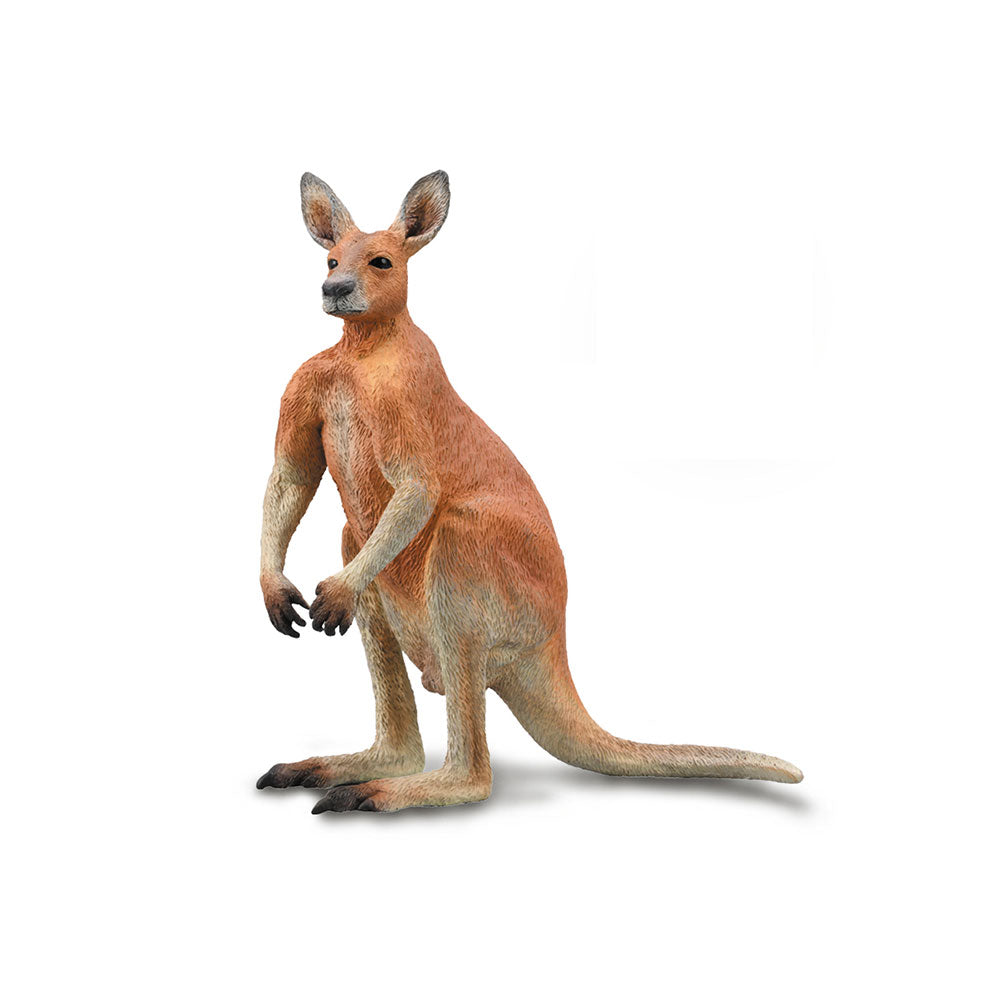 Collecta Red Kangaroo (grande)