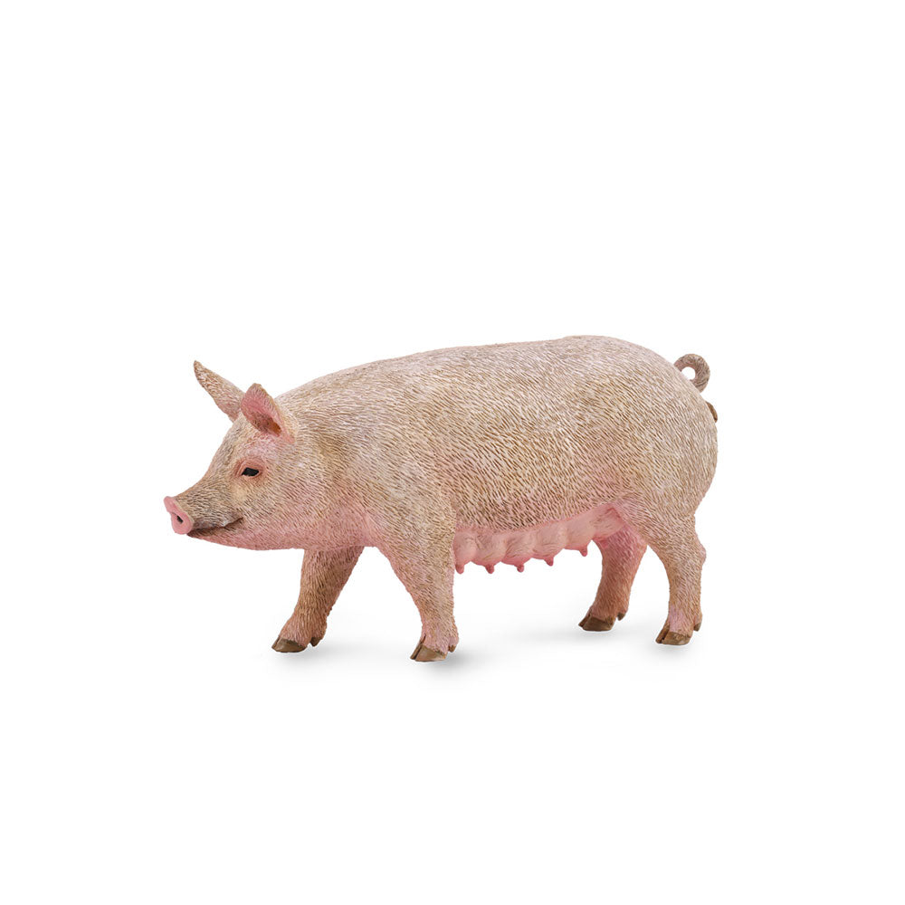 CollectA Pig Figure (Medium)