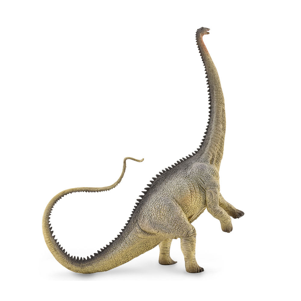 Collecta Diplodocus dinosaurfigur (ekstra stort)