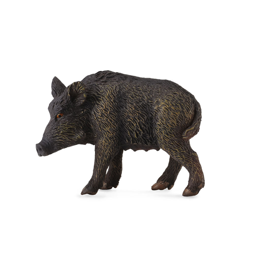 Collecta Wild Pig Figur (medium)