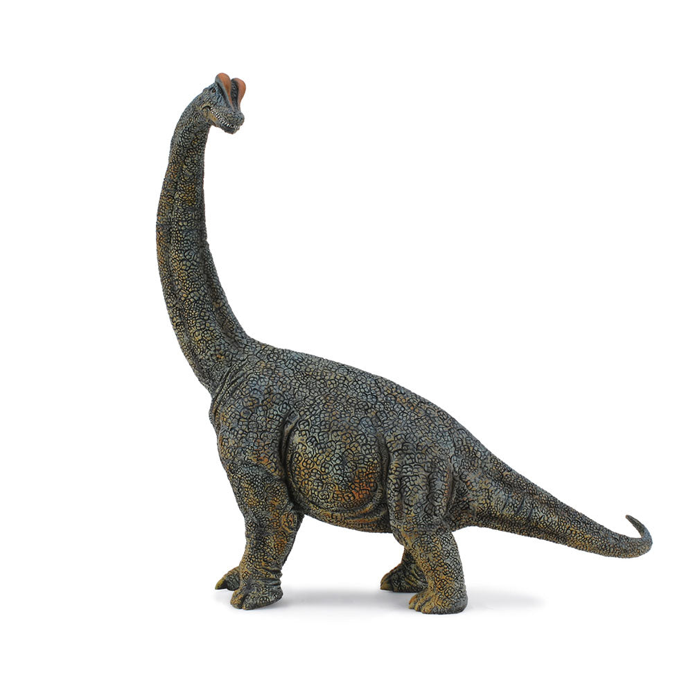 Figura di dinosauro da collezione brachiosaurus