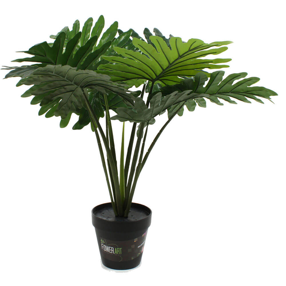 Plante en pot 60cm