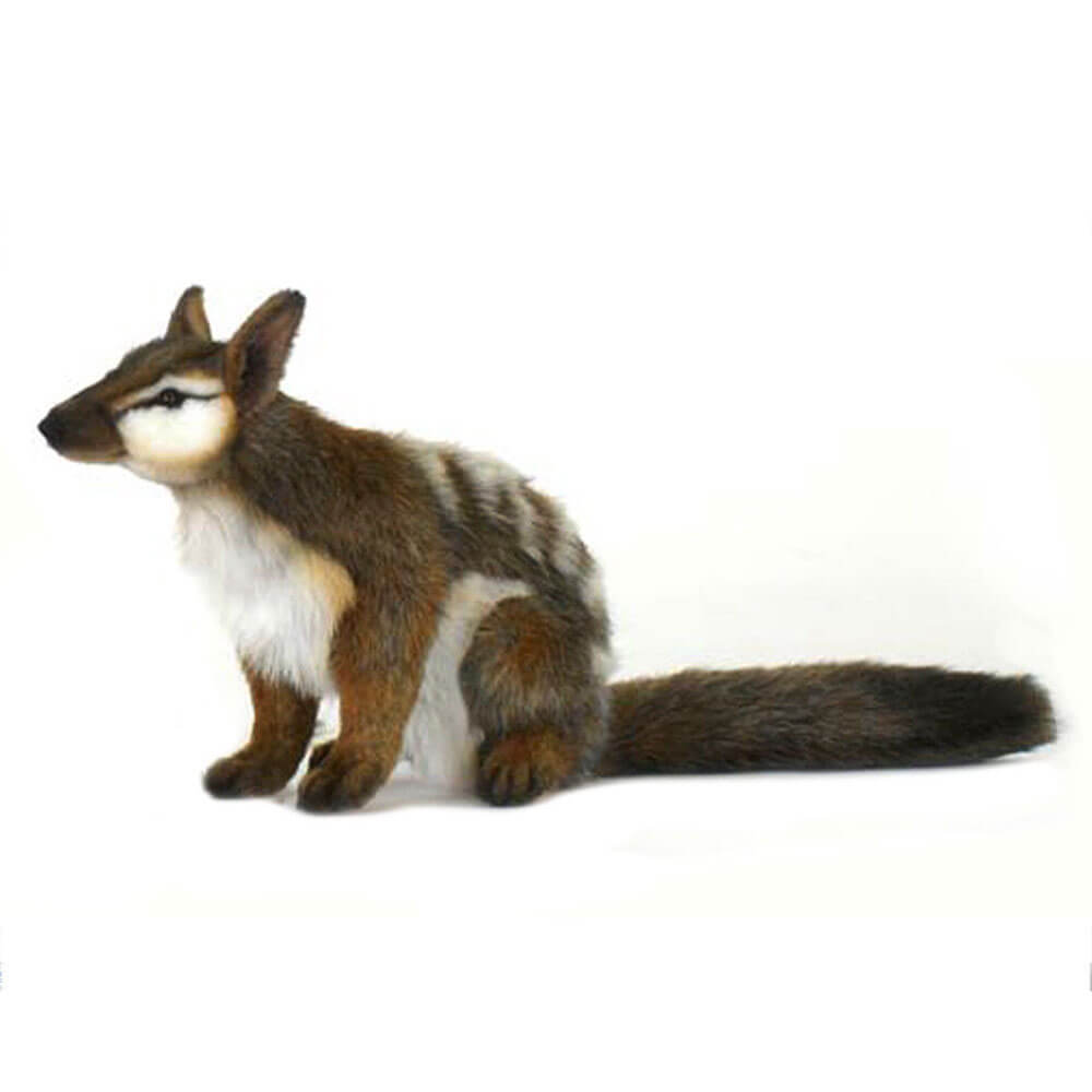 Hansa Numbat Plush Toy (30cm)