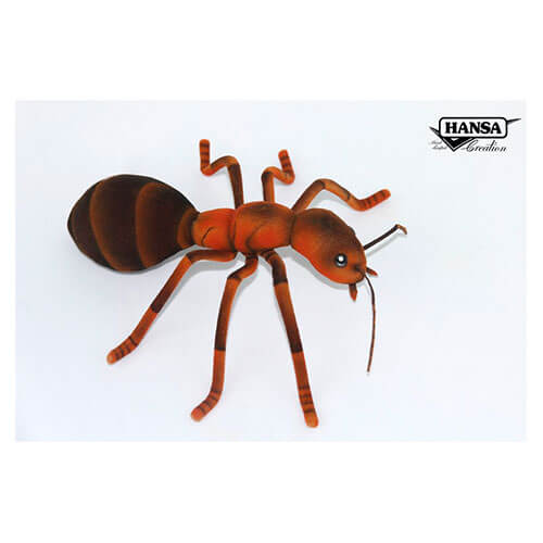 Ant Plush Toy (25cm W)