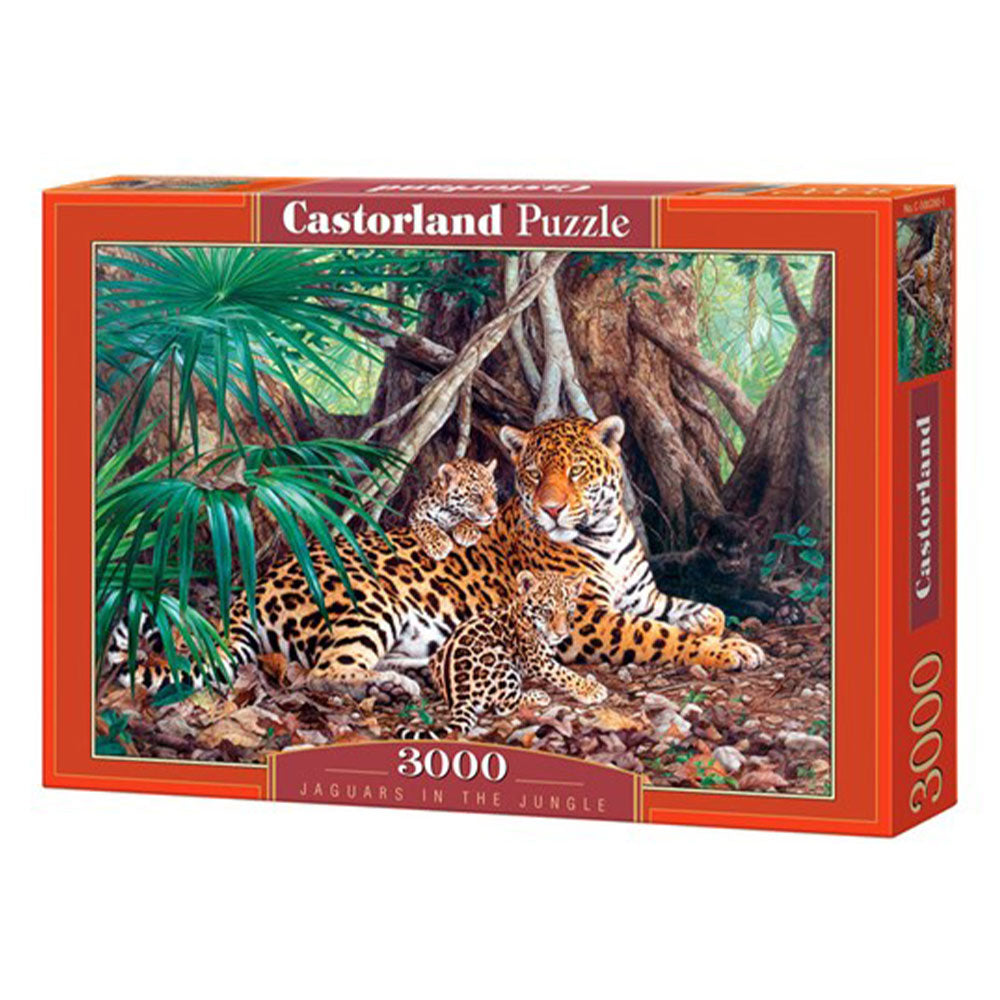  Castorland Classic Puzzle 3000 Teile