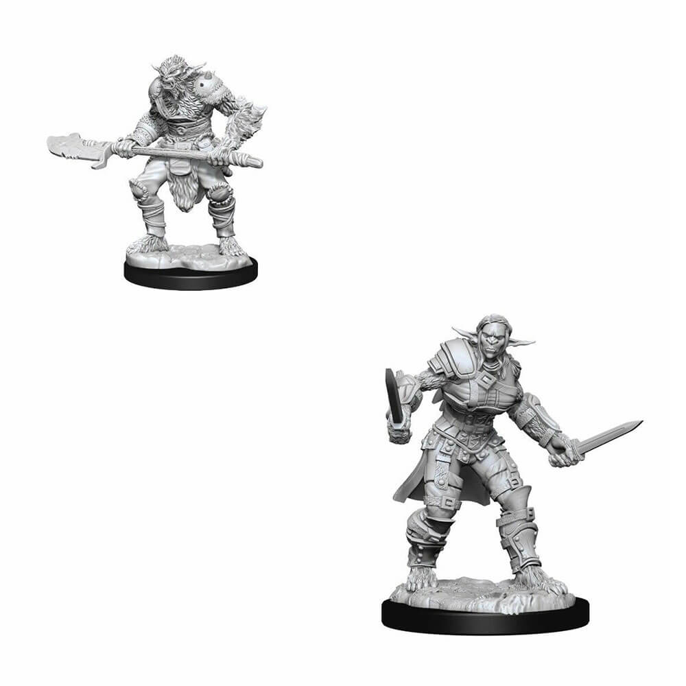 D & D Nolzurs Ongeverfde miniaturen