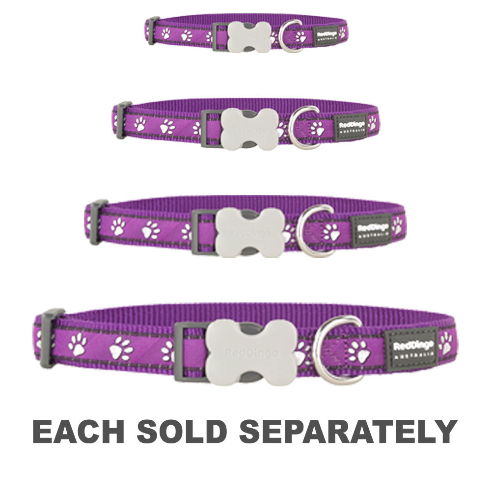 Desert Paws Dog Collar (Purple)