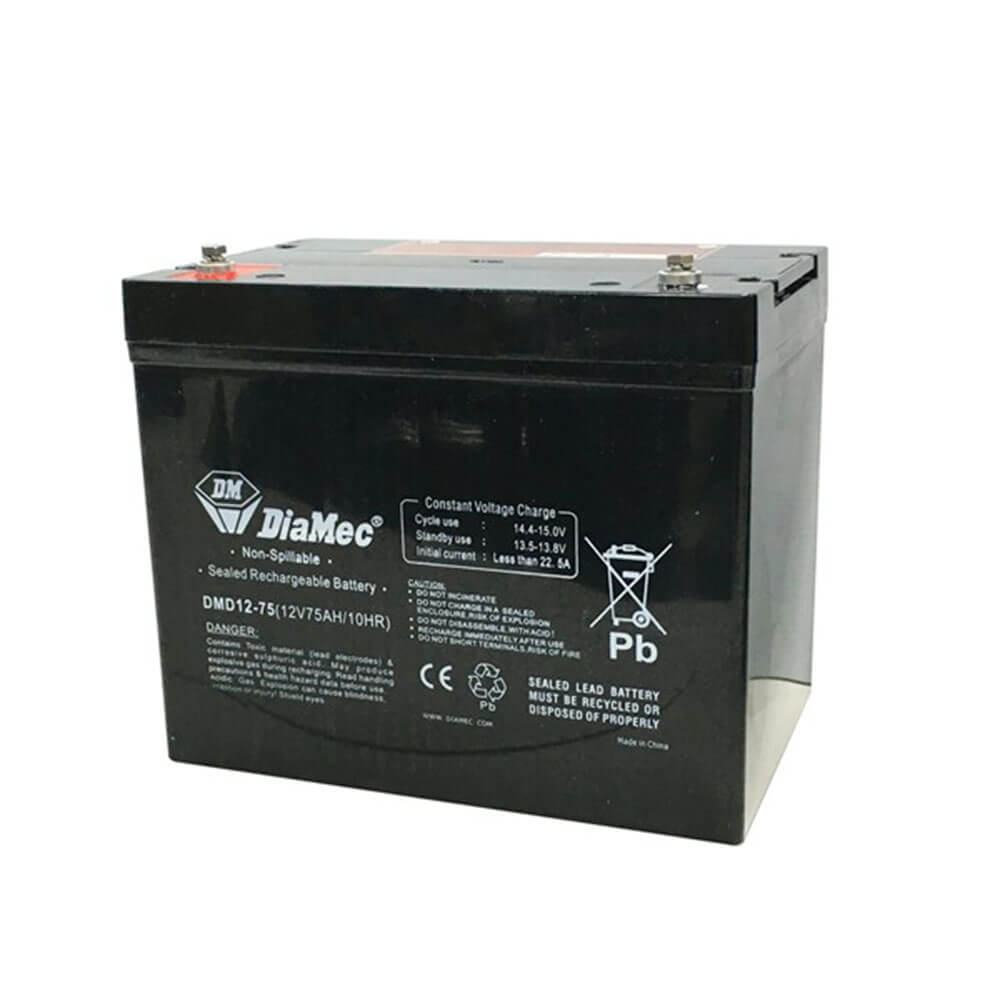 Batterie de cycle profond 12V AGM