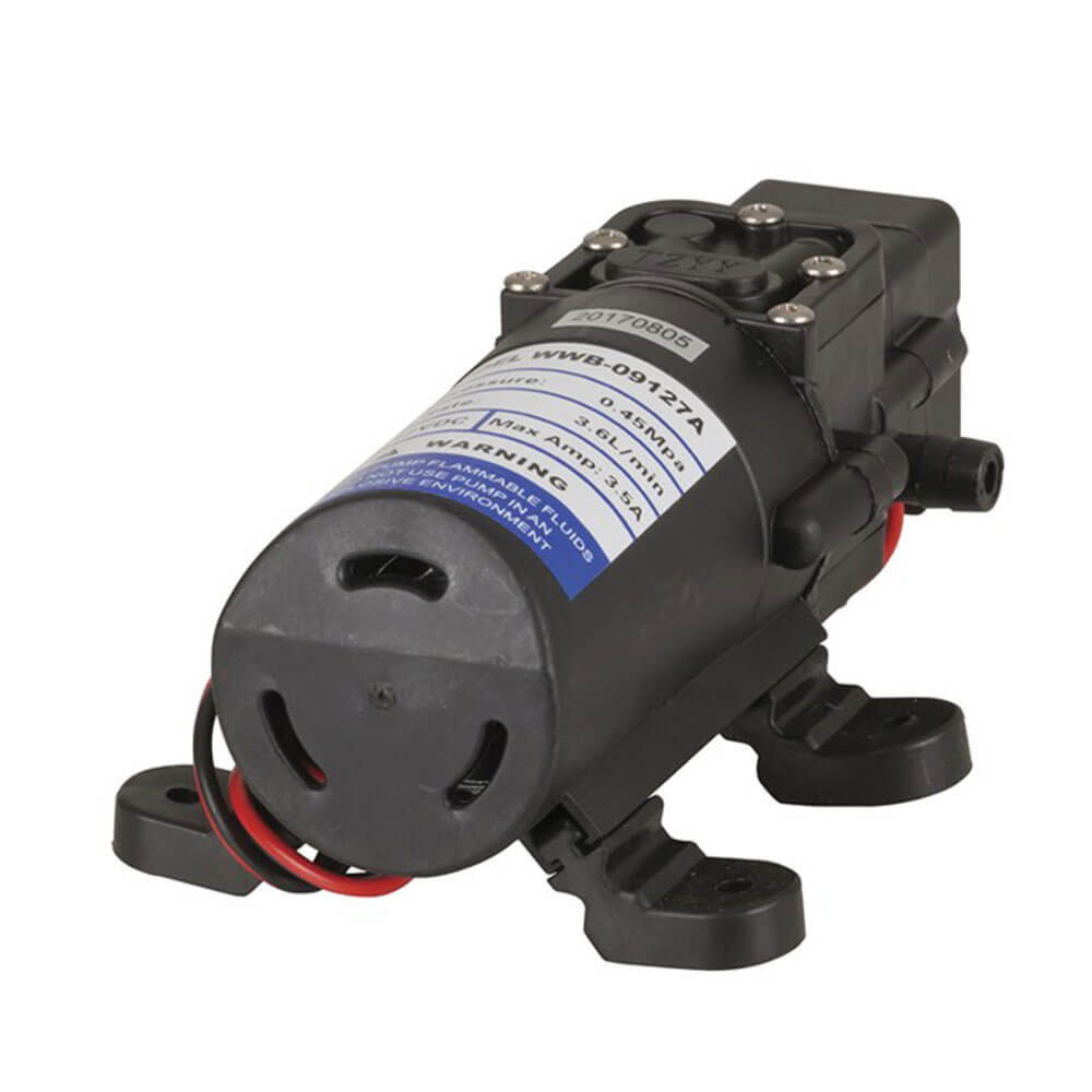 Economy 12V Auto Fresh Water Pump